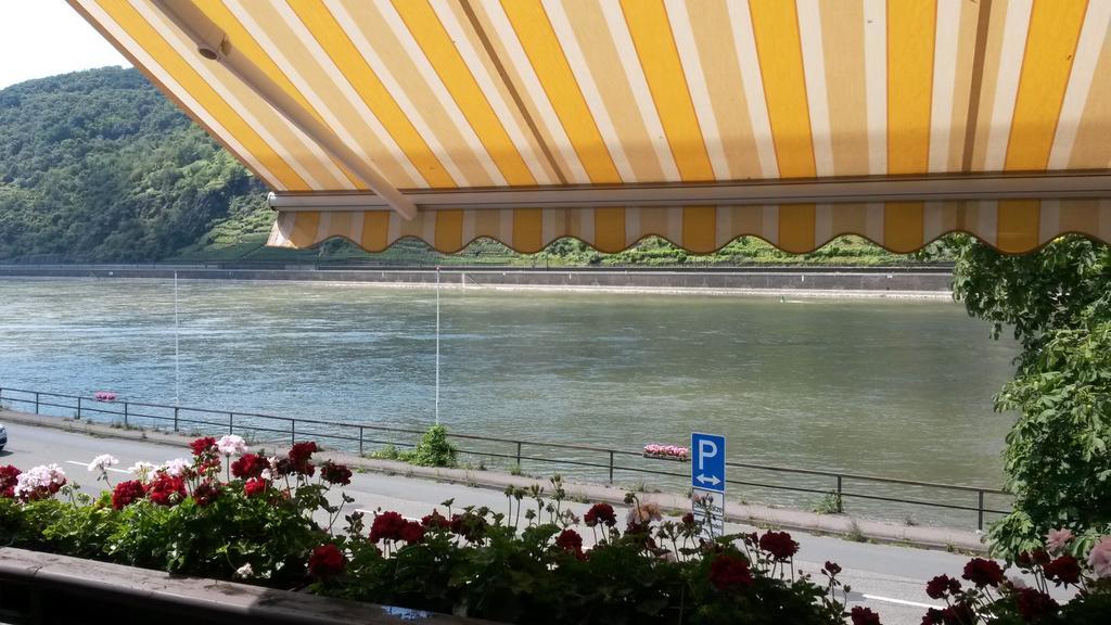 Pension / Ferienwohnungen Scheid Kestert Dış mekan fotoğraf