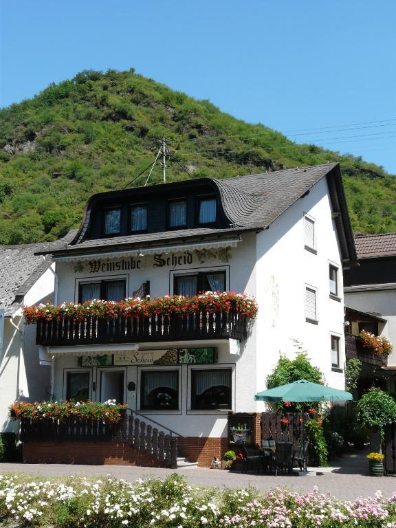 Pension / Ferienwohnungen Scheid Kestert Dış mekan fotoğraf