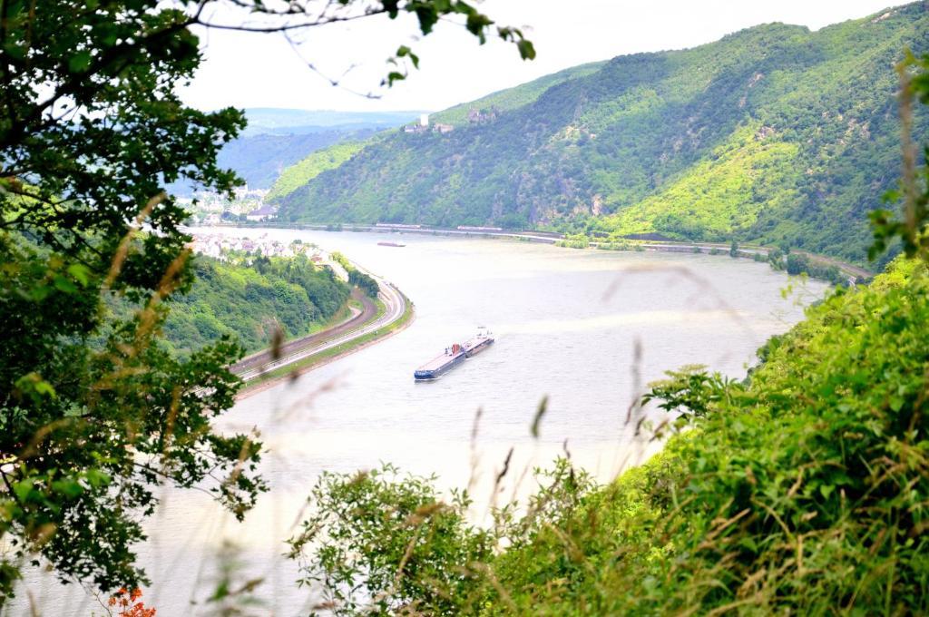 Pension / Ferienwohnungen Scheid Kestert Dış mekan fotoğraf