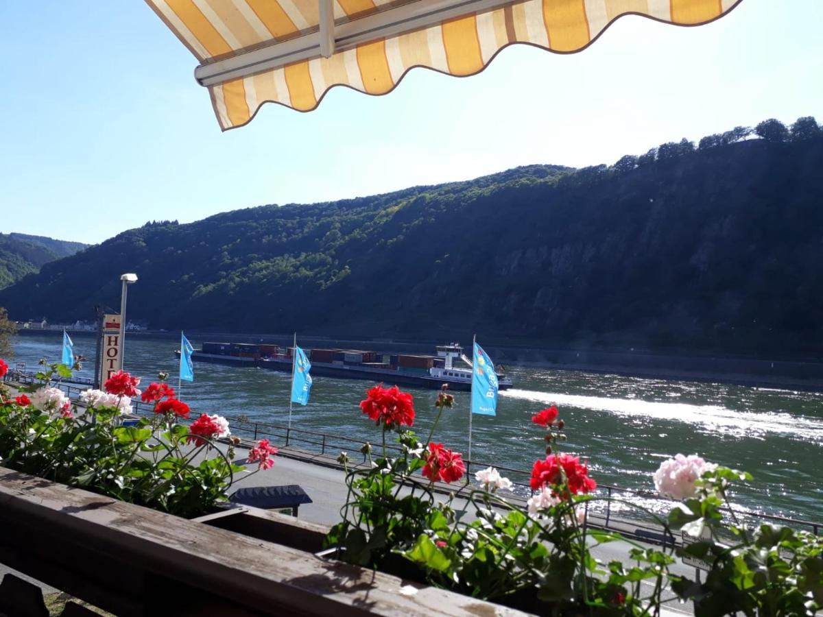 Pension / Ferienwohnungen Scheid Kestert Dış mekan fotoğraf