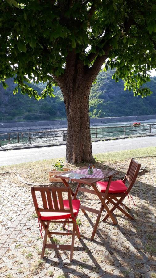 Pension / Ferienwohnungen Scheid Kestert Dış mekan fotoğraf