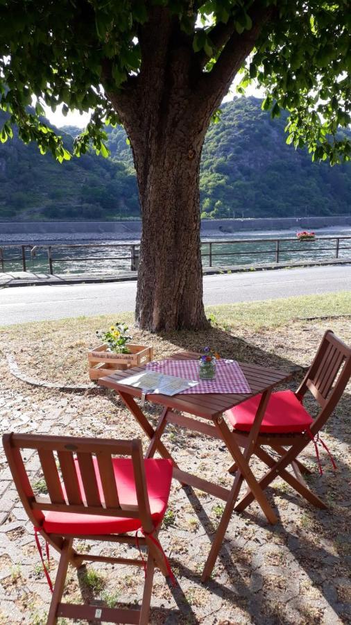 Pension / Ferienwohnungen Scheid Kestert Dış mekan fotoğraf